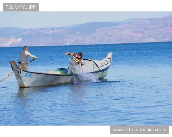 如何使用ag捕鱼官网全站登录账号，快速进入精彩捕鱼世界