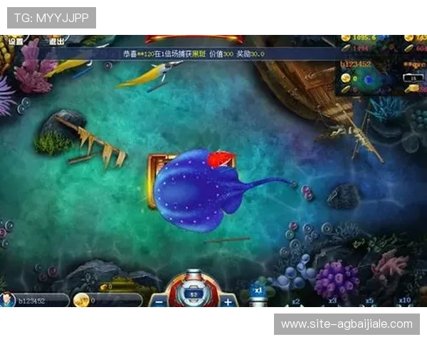 官方地址更新公告,ag捕鱼王2玩家必备的最新登录入口信息 官方地址更新公告,ag捕鱼王2玩家必备的最新登录入口信息