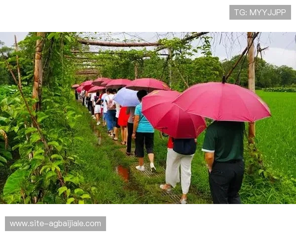 新用户必看AG旗舰厅会员注册详细步骤全攻略让你轻松开启尊贵会员之旅