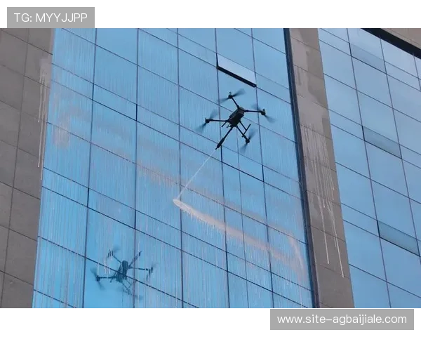 探秘ag贵宾厅官方网的安全保障措施确保您的隐私与财产安全