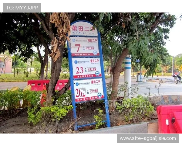 云顶官网网址官方导航指南，帮助新手快速找到官方入口和相关资源